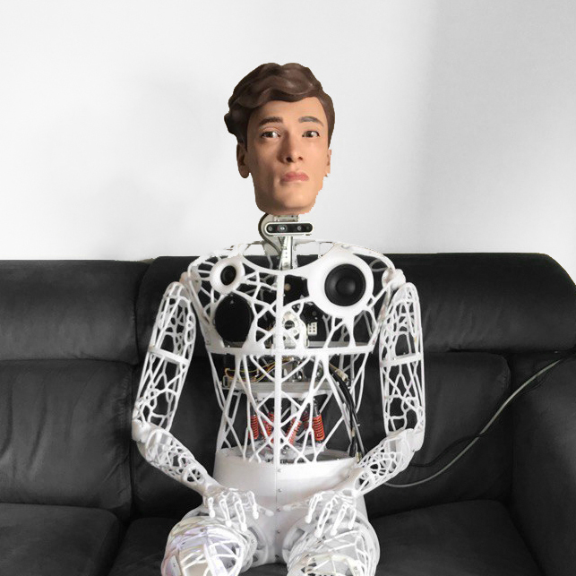 Captcha humanoid robot waiting for robotics proposals
